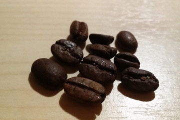 Katzenkaffee Kopi Luwak Kaffeebohnen